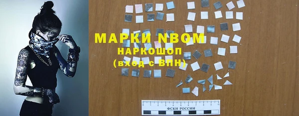 соль ск Вяземский