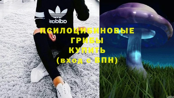 соль ск Вяземский