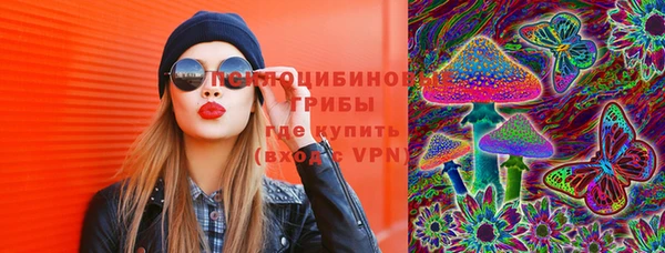 соль ск Вяземский