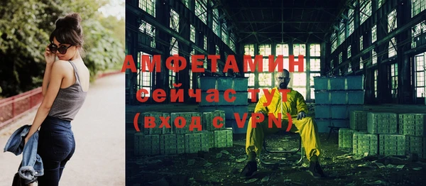 молекула духа Горняк