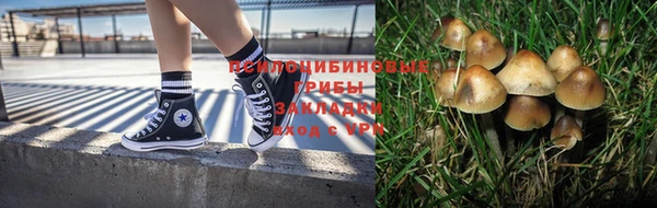 соль ск Вяземский